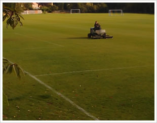 Commercial grounds maintenance company in Herts & North London